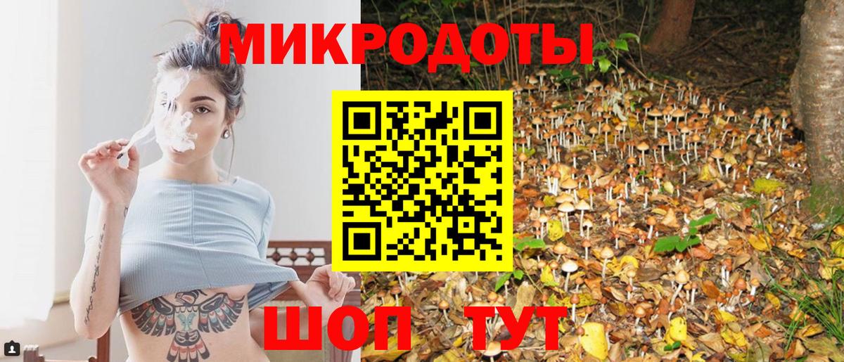 Галлюциногенные грибы мухоморы  купить закладку  Тулун  Вход с VPN 